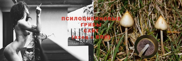 гидропоника Балахна