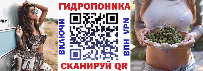 Шишки марихуана индика Лыткарино
